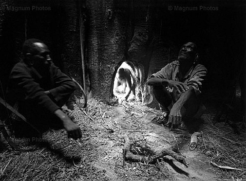 Tanzania. Rifugio all\\'interno di un Baobab, nella trib_Dorobo.jpg