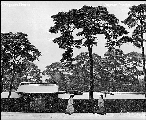 Giappone, Tokyo. Giardino del Tempio Meiji.jpg