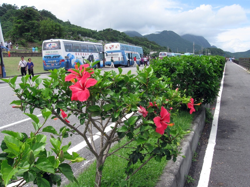 台湾 047.jpg