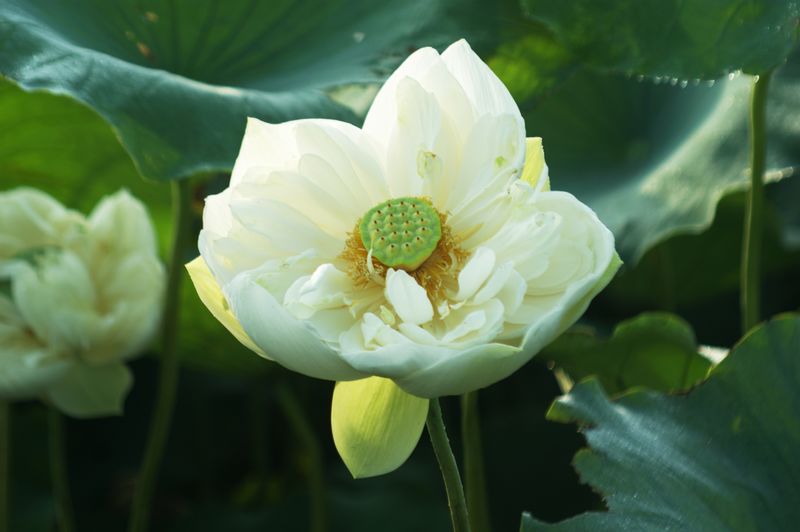 nEO_IMG_DSC01035.jpg