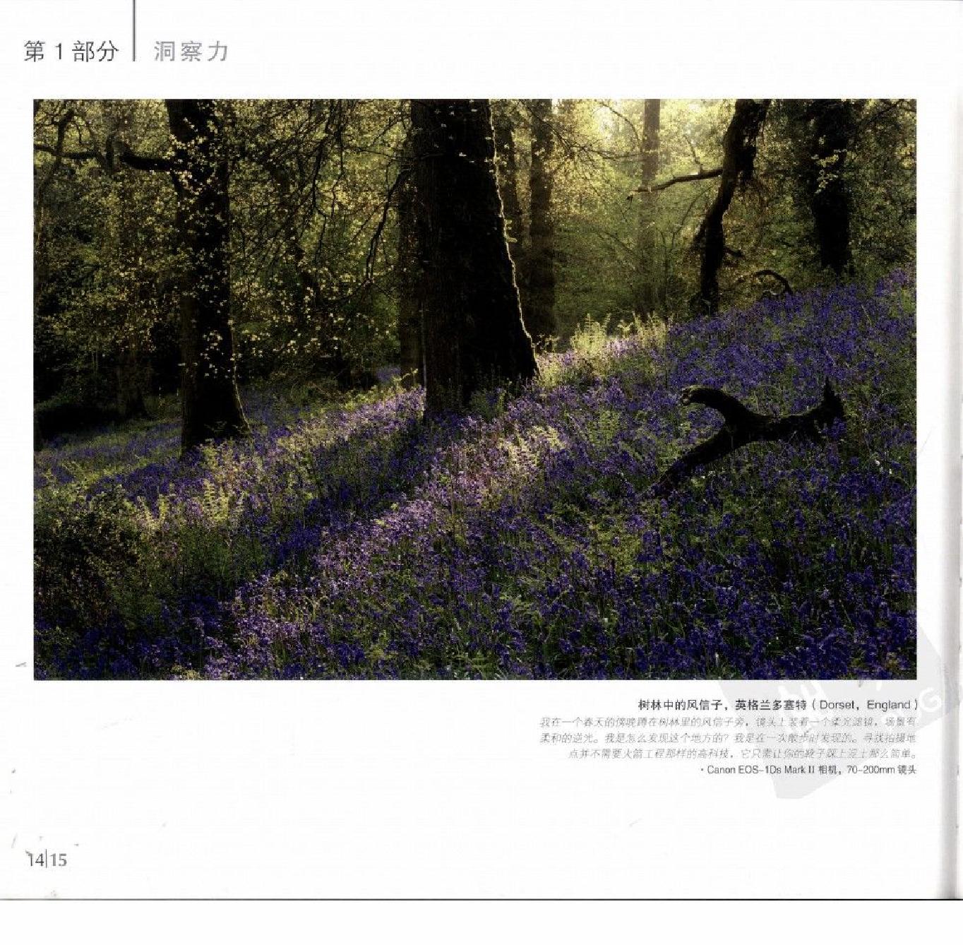 等待光线-戴维·诺顿风光摄影手记0018.jpg