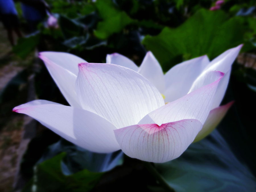 DSC03785_副本_副本_副本.jpg