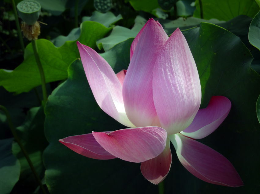 DSC03852_副本_副本_副本.jpg
