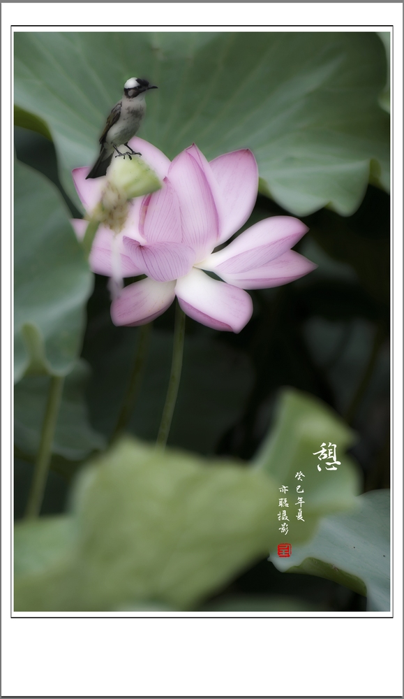 RMB_8408.jpg