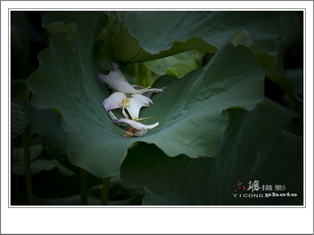 RMB_8417.jpg