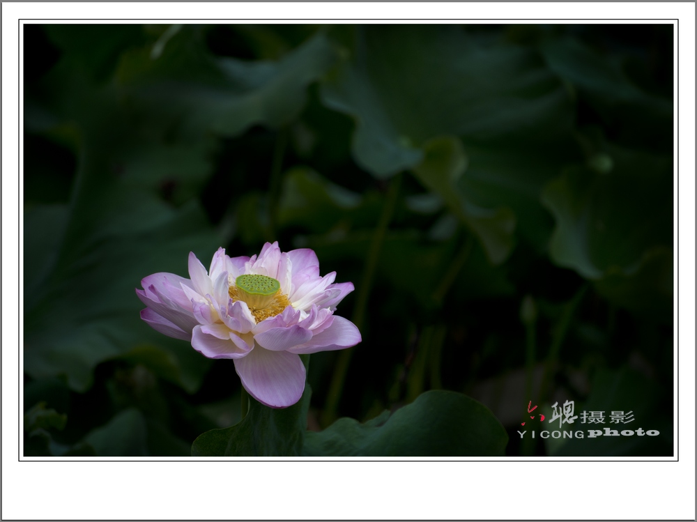 RMB_8418.jpg