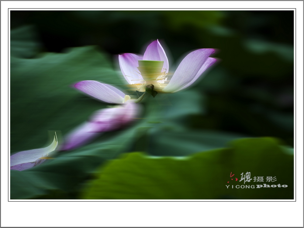 RMB_8444.jpg