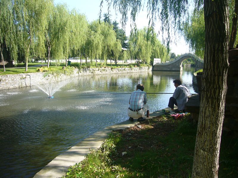 P1760399b.jpg