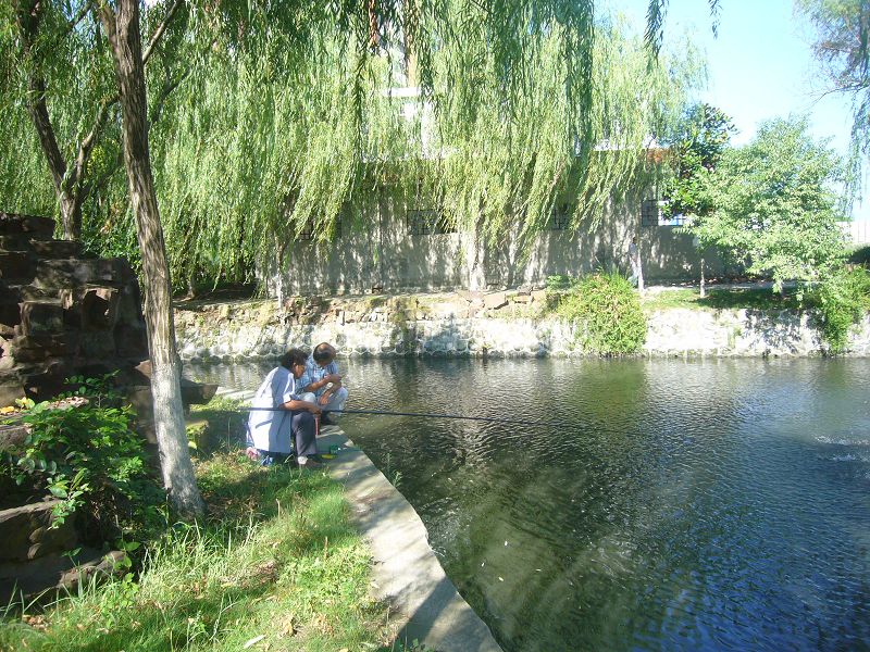 P1760402b.jpg