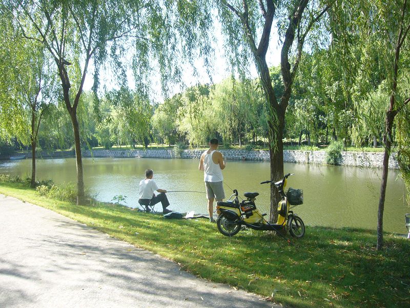 P1760407b.jpg