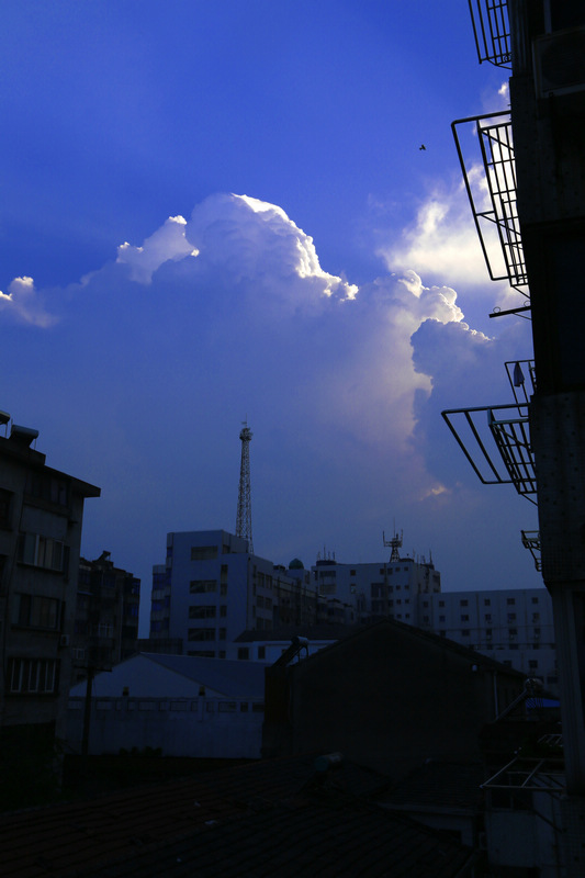 nEO_IMG_IMG_7184-2.jpg
