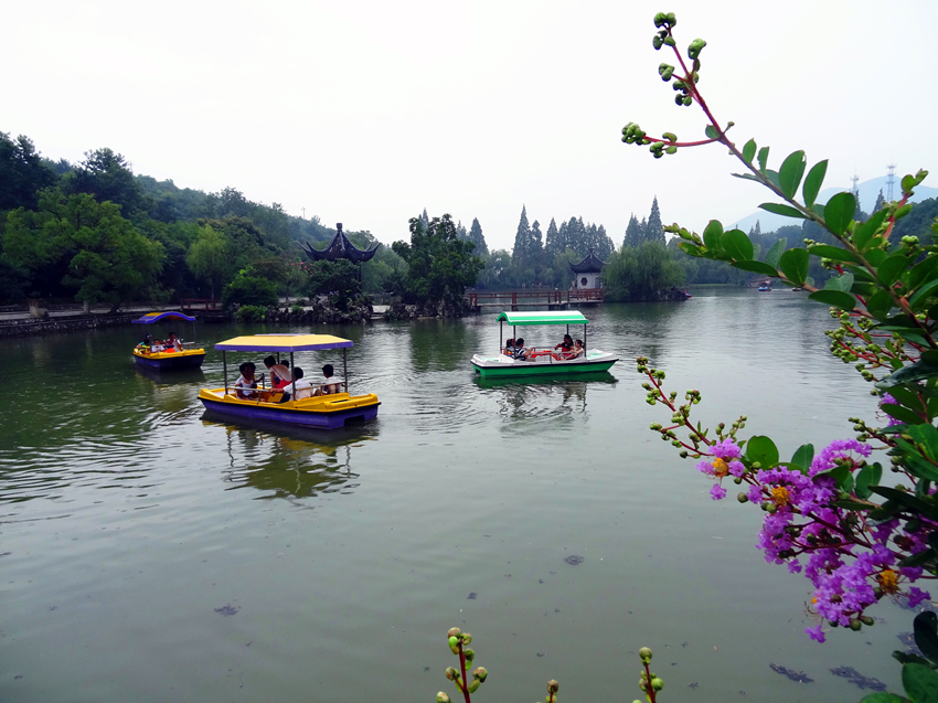 DSC04155_副本_副本.jpg