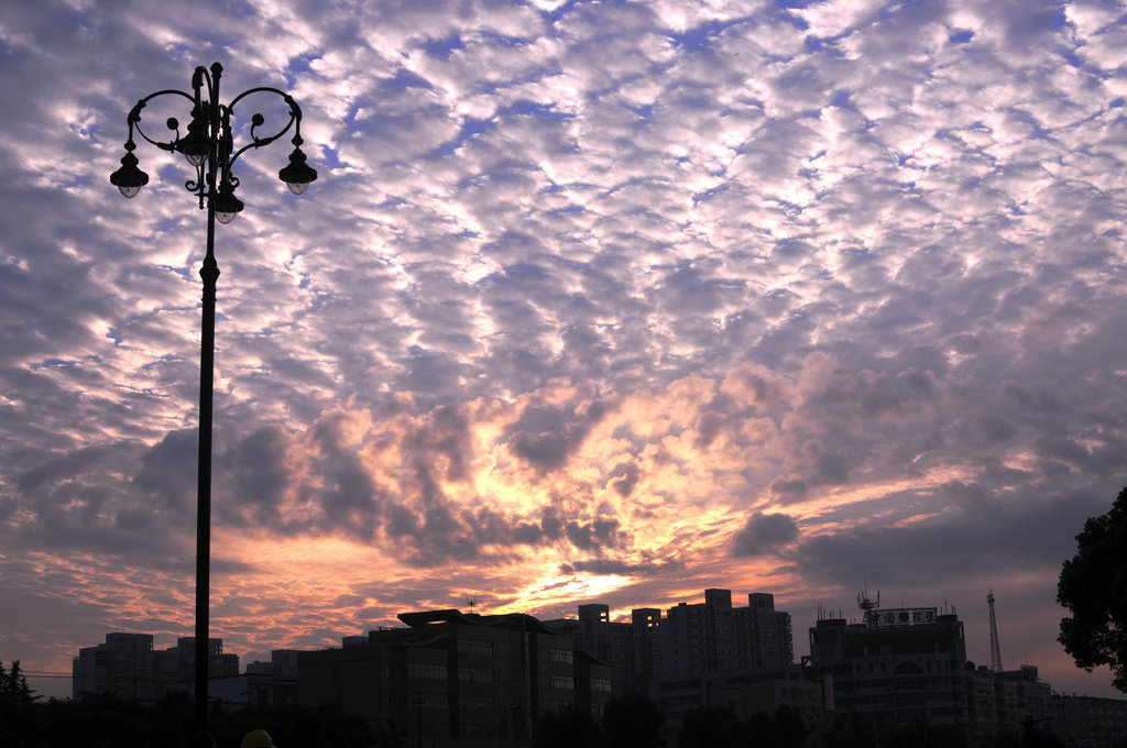 DSC_5576_副本.JPG