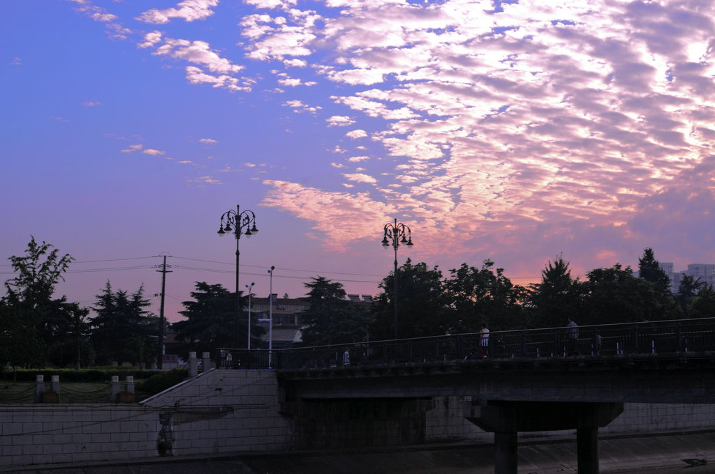 DSC_5600_副本.JPG