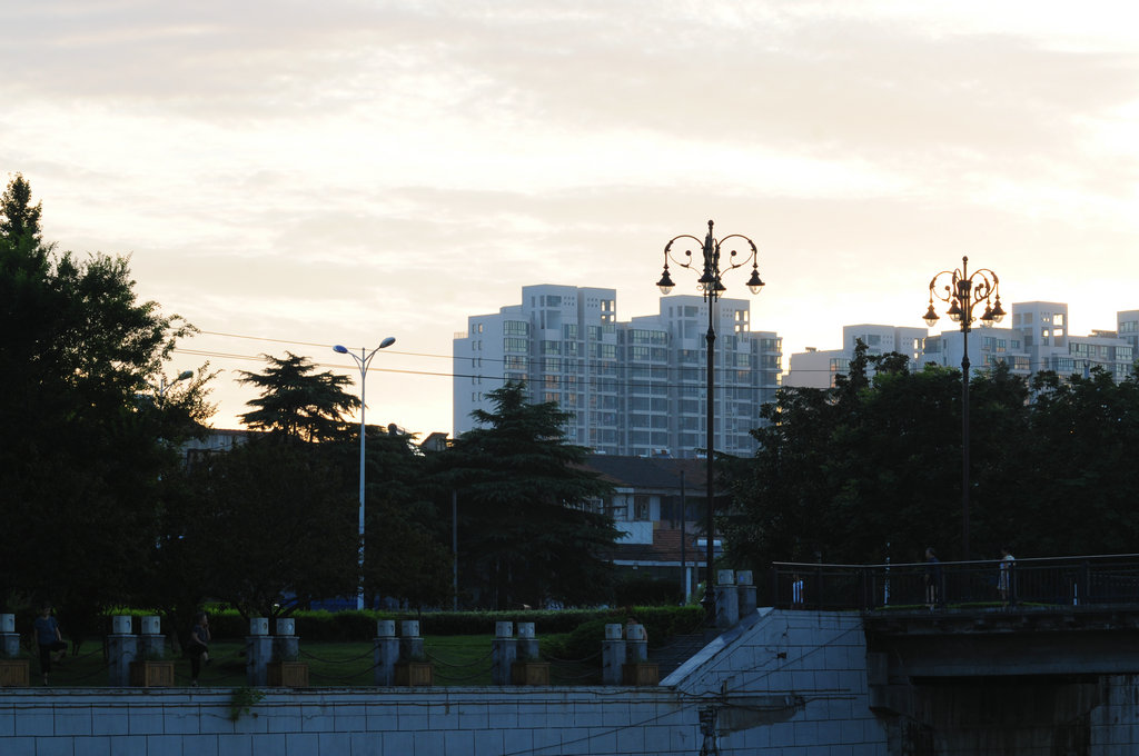 DSC_5874_副本.JPG