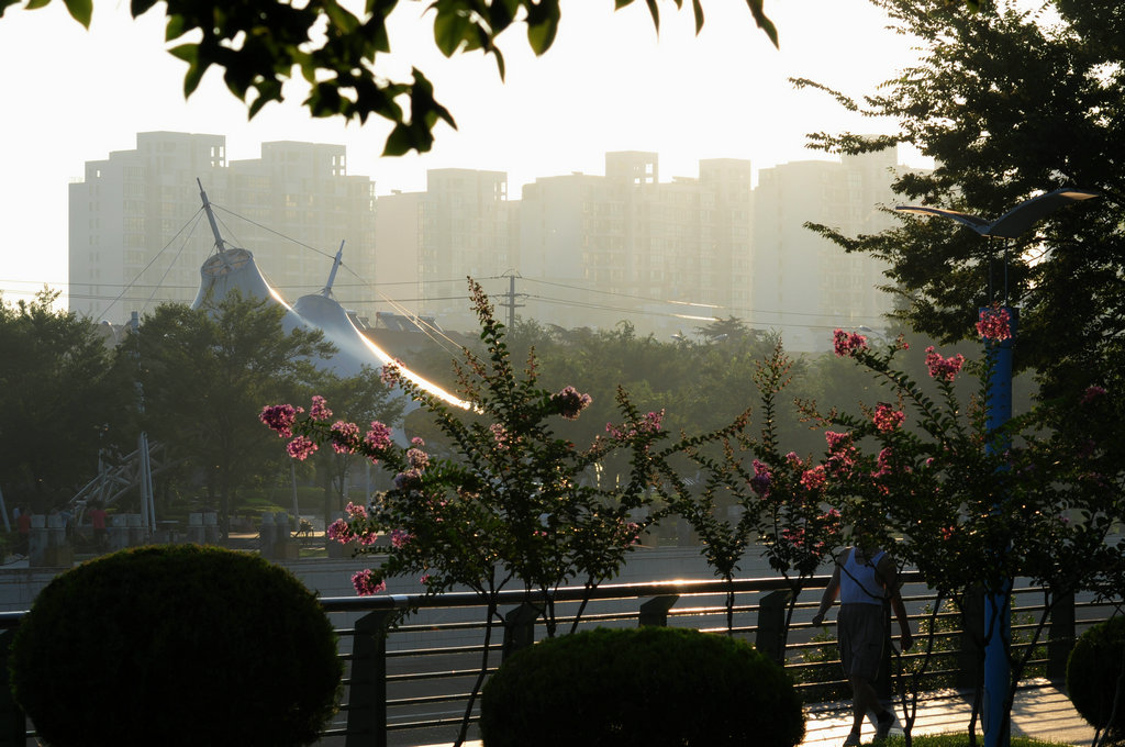 DSC_5915_副本.JPG