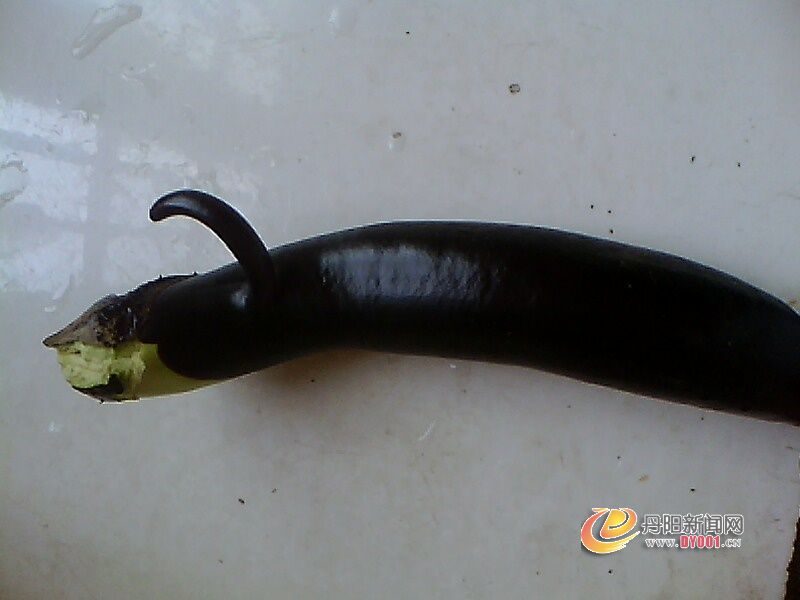IMG1796A_A.jpg