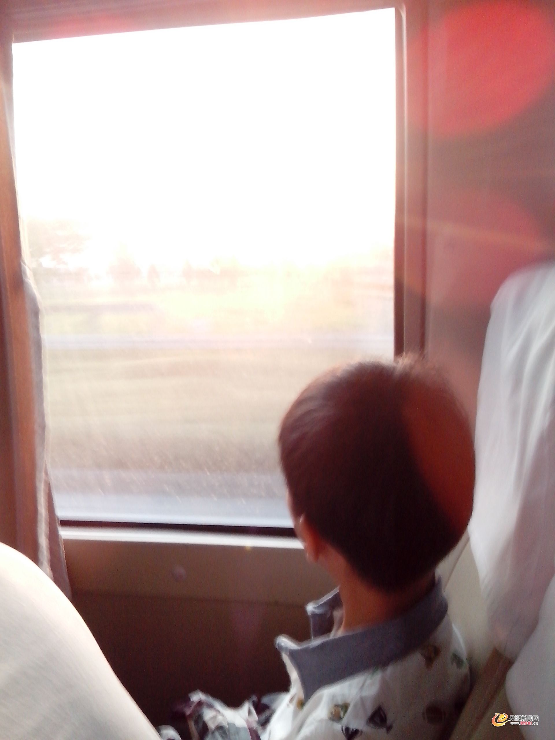 IMG_20130731_055708.jpg
