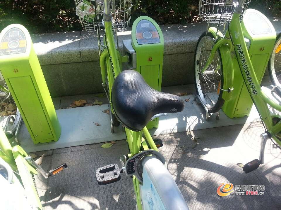 222.jpg