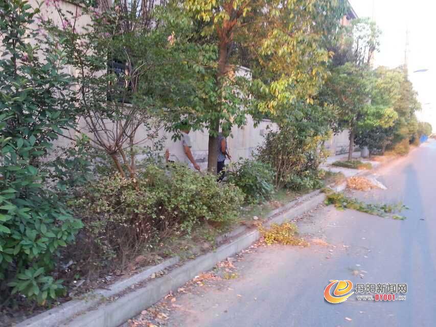 创卫3.jpg