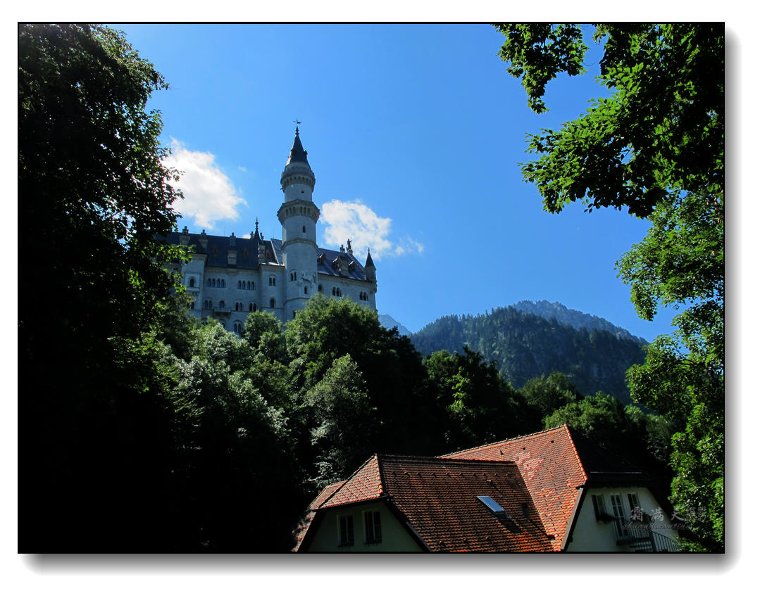 IMG_8539.jpg
