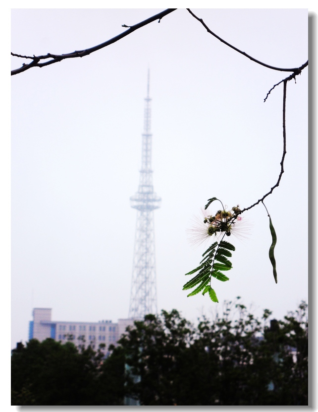 nEO_IMG_SDC10213.jpg