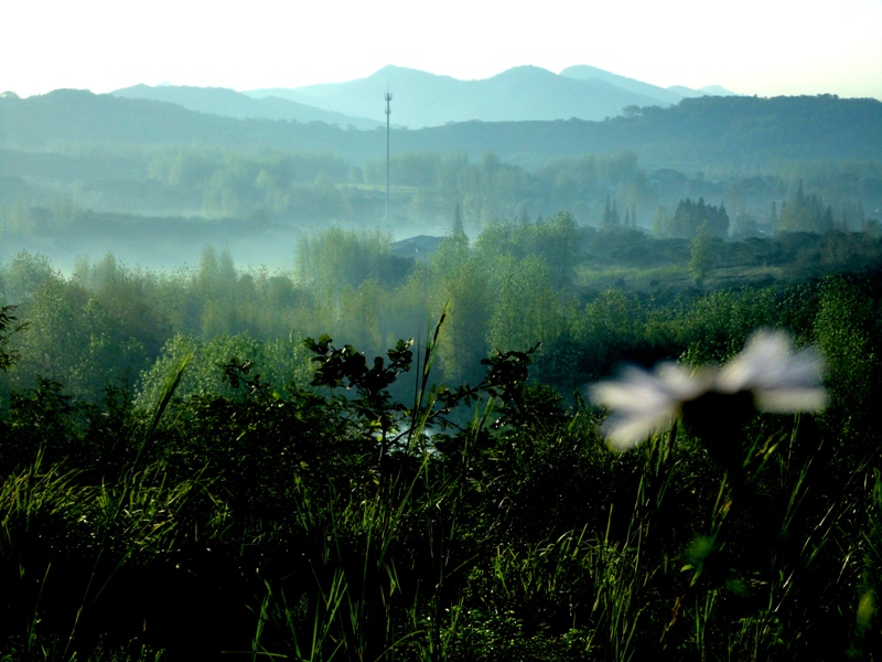 DSC03253f.JPG