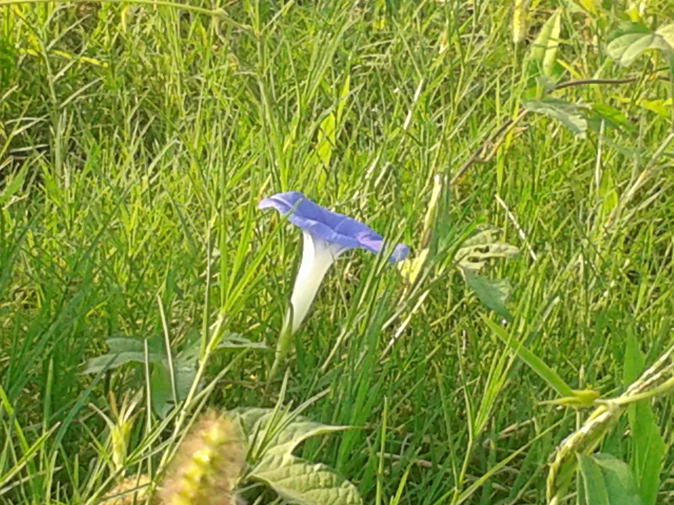 20130903_071531.jpg