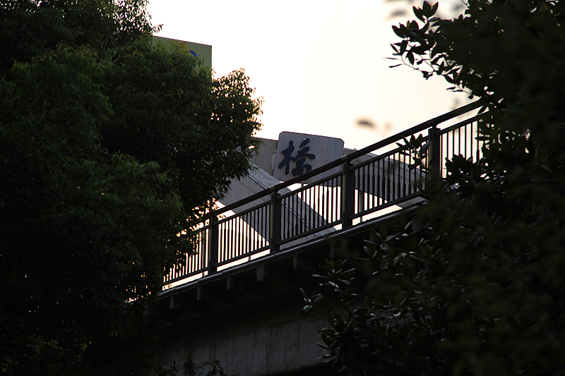 9.1三河口 023.jpg
