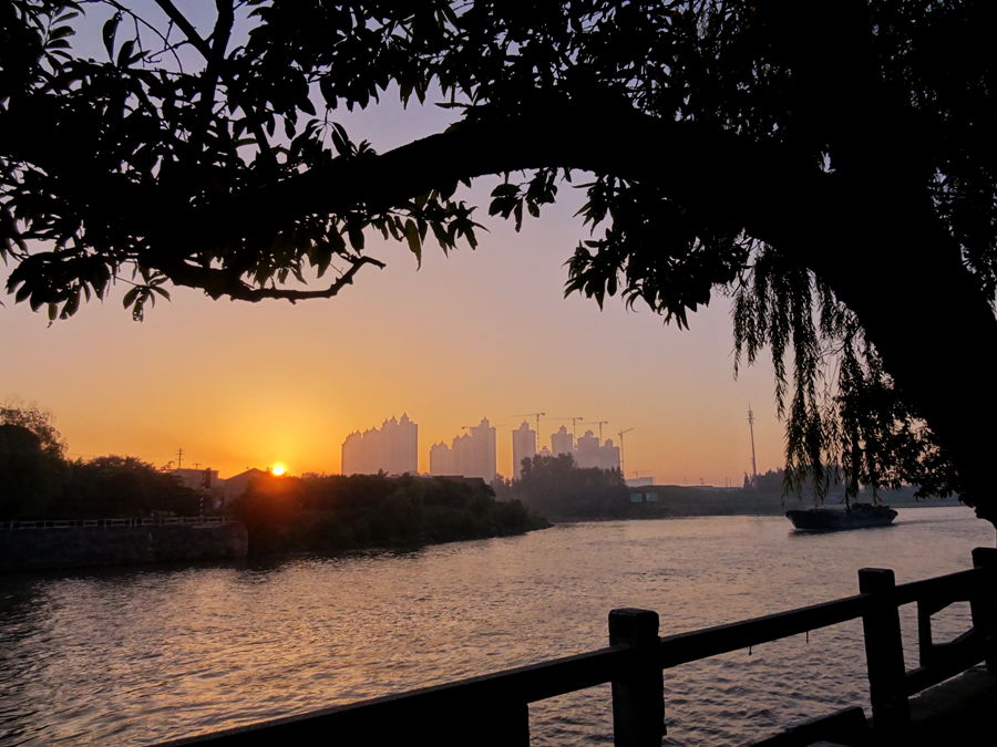DSC06338_副本.jpg