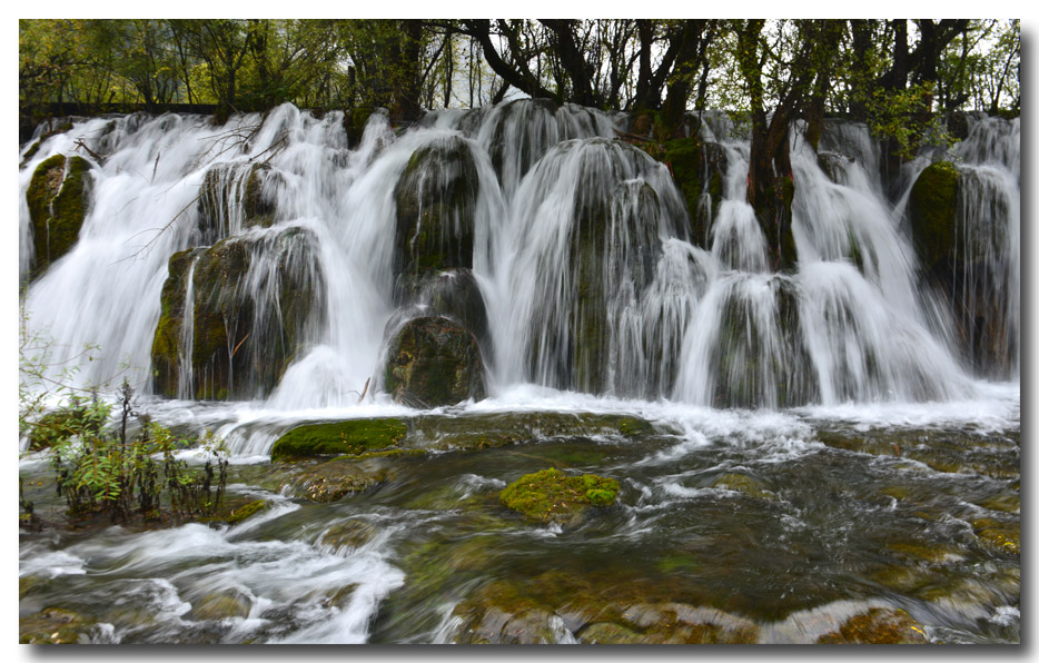 DSC_5921-3.jpg