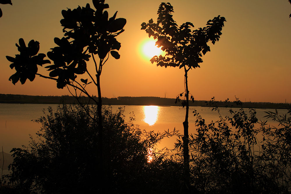 _MG_2677.JPG