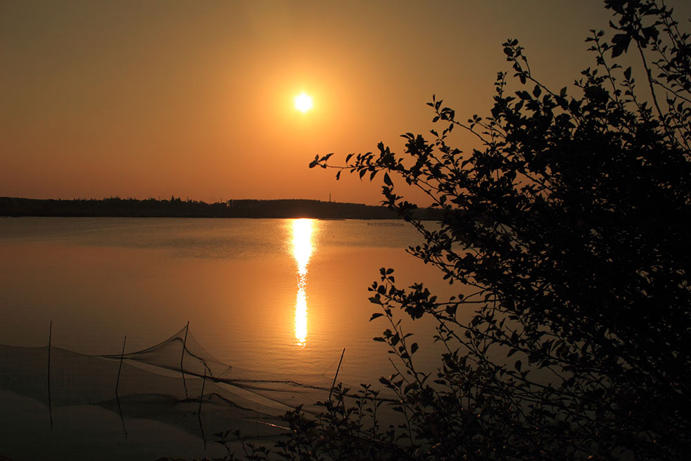 _MG_2683.JPG