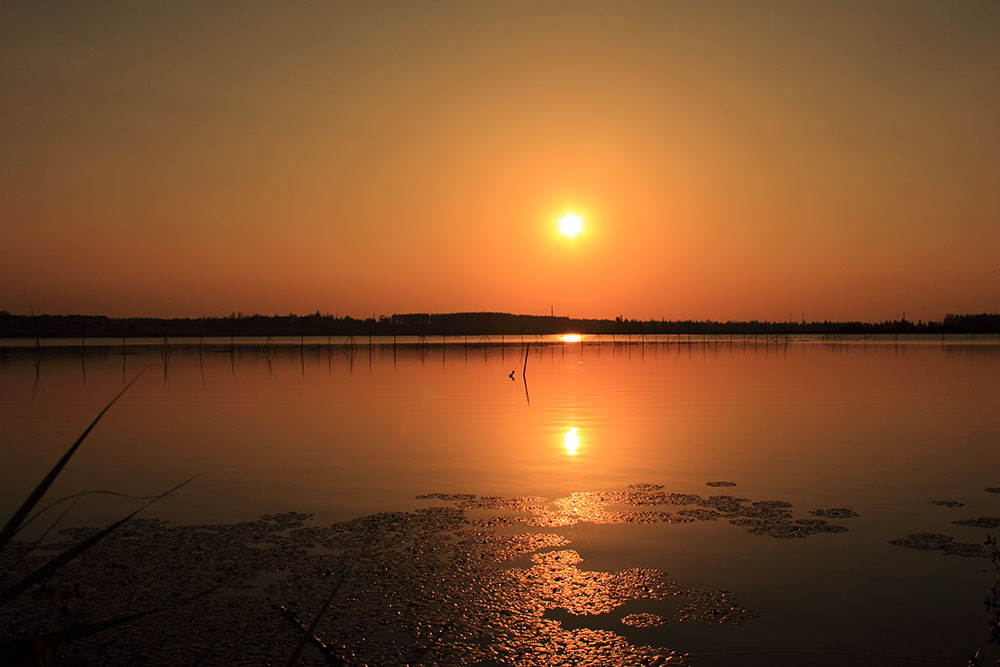 _MG_2702.JPG