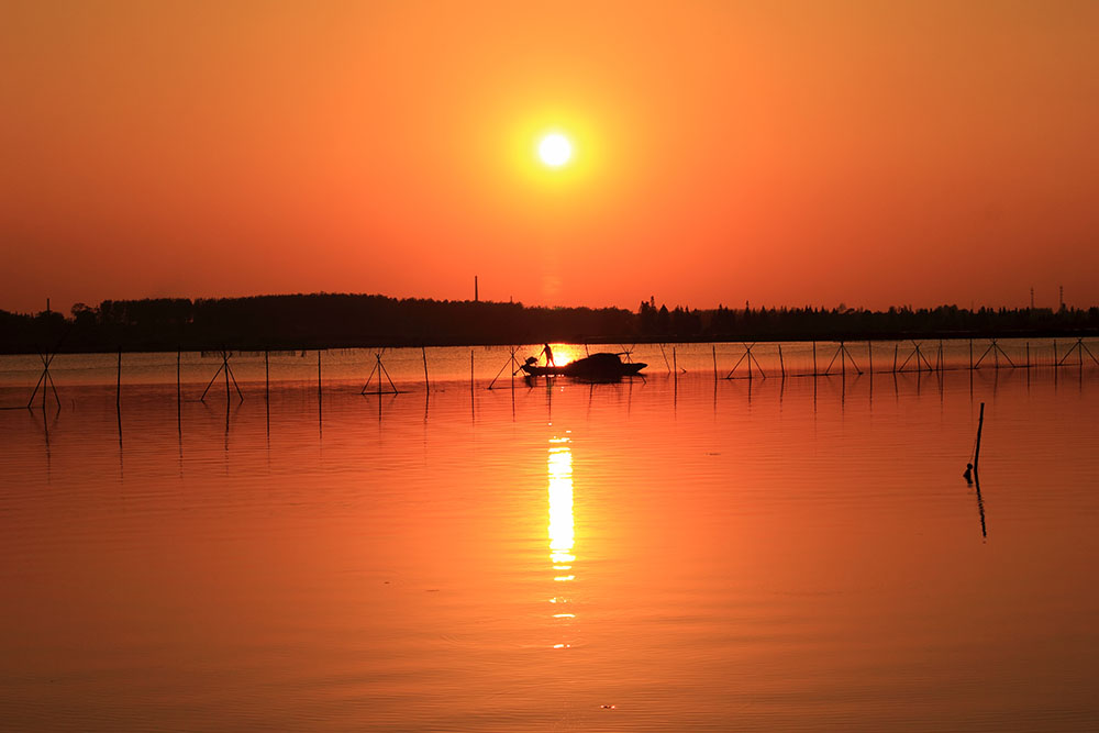 _MG_2724.JPG