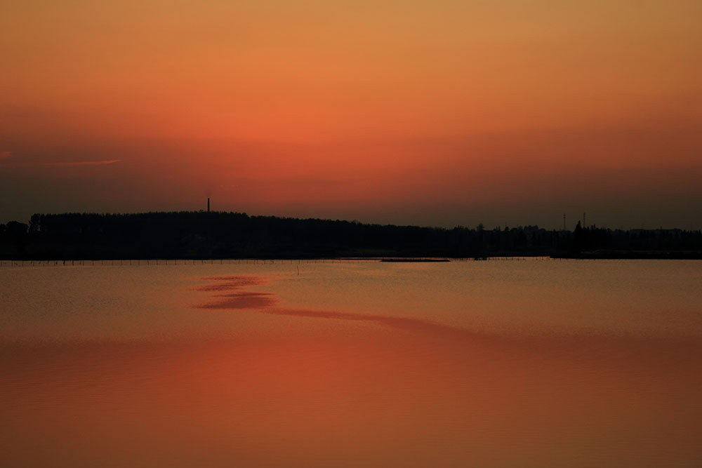 _MG_2786.JPG