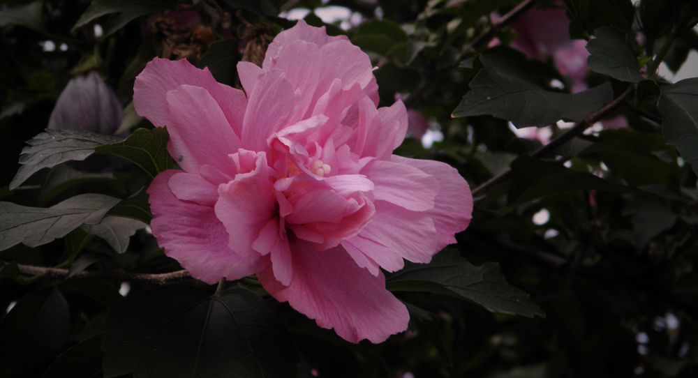P9180423.JPG