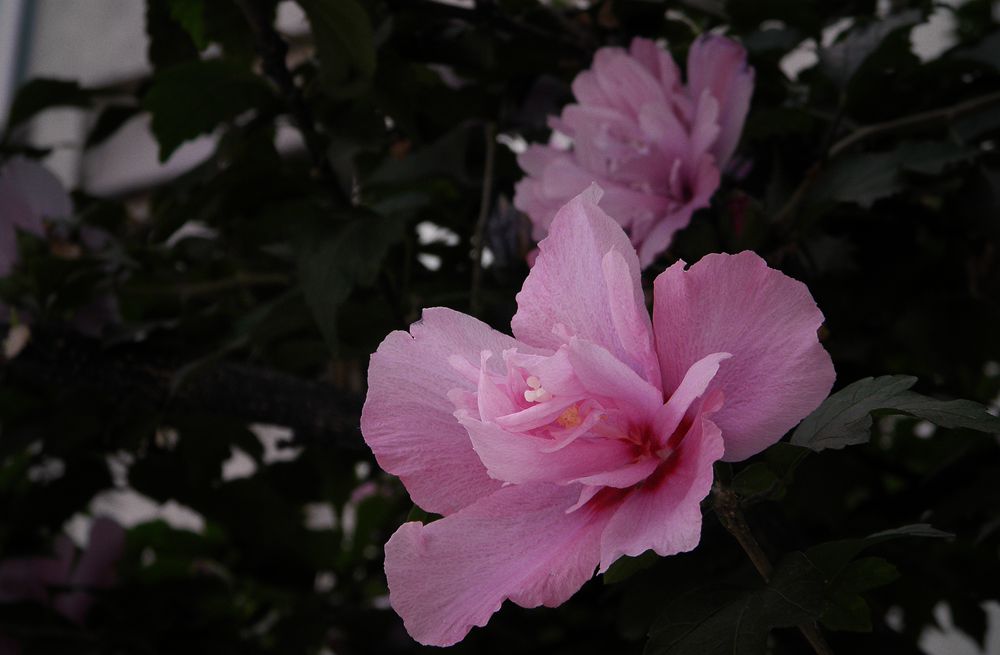 P9180429.JPG