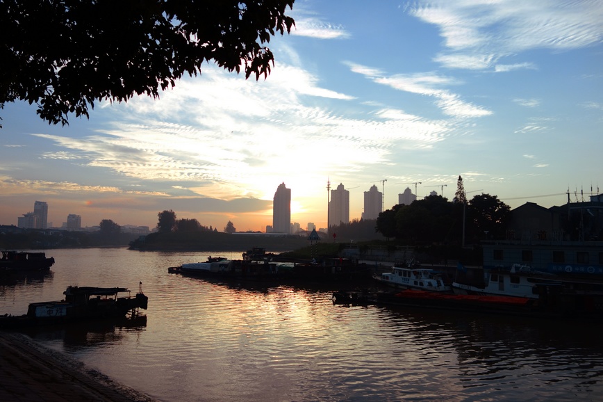 nEO_IMG_DSC00745.jpg