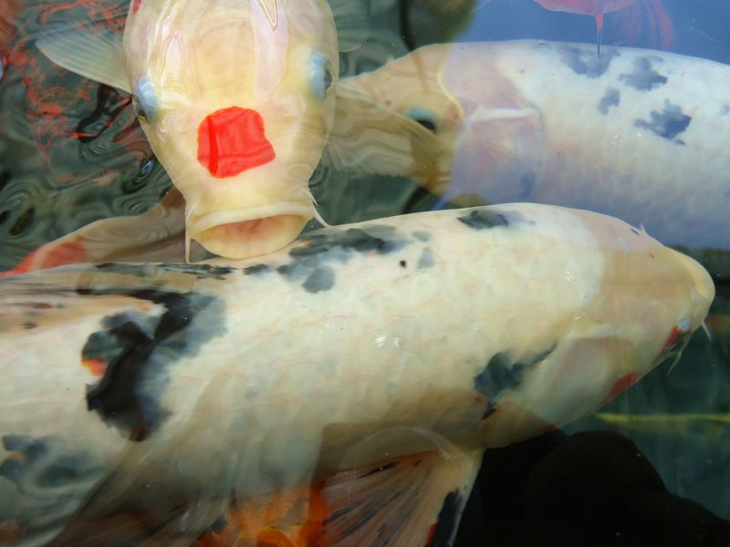 DSC05962_看图王.jpg