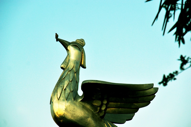 nEO_IMG_DSC01098.jpg