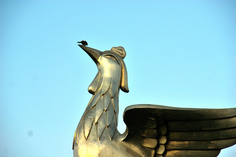 nEO_IMG_DSC01099.jpg