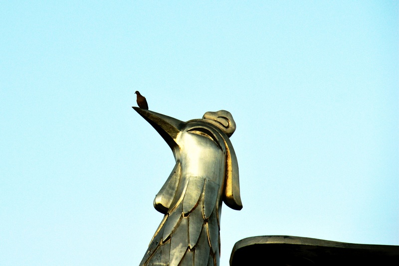 nEO_IMG_DSC01100副本.jpg