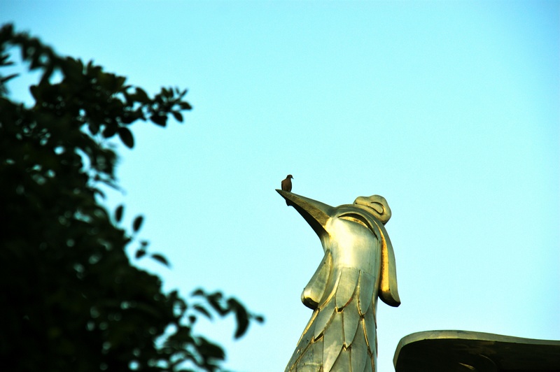 nEO_IMG_DSC01101.jpg