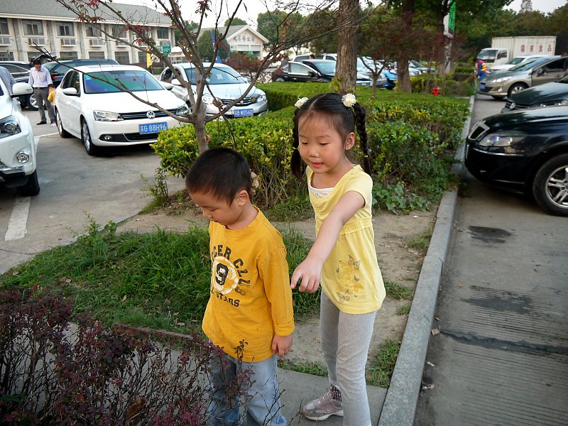 P1290380a.jpg
