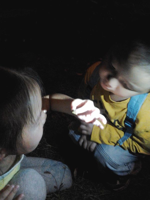 20131001_193147a.jpg