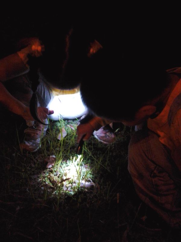 20131001_192343a.jpg