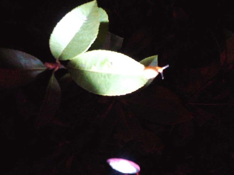 20131001_193329a.jpg