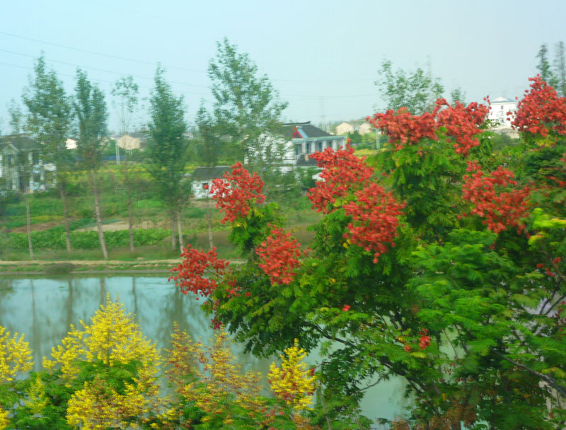 P1290356c.jpg