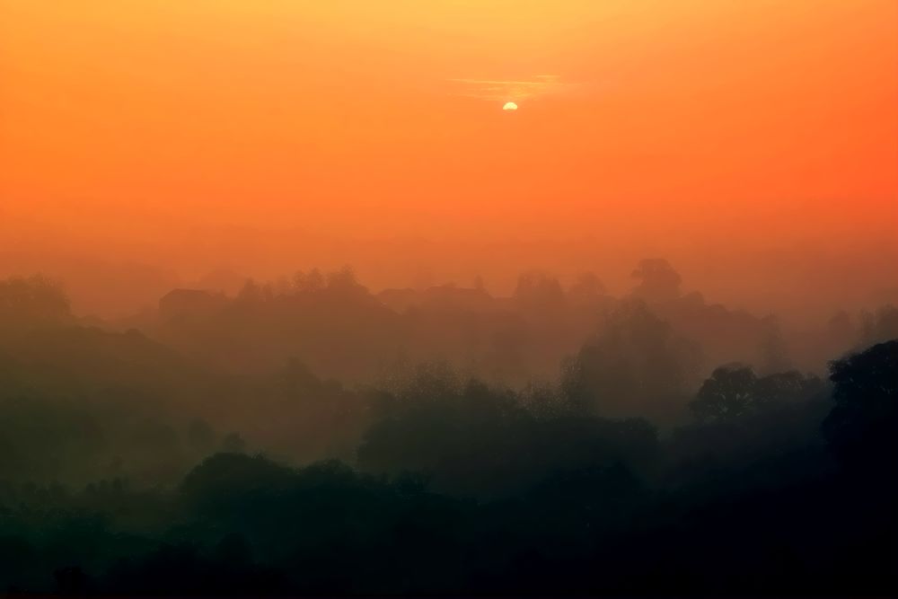 _MG_3041.JPG